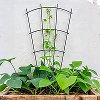 Vista 4 de Paquete de 4 Enrejados de 32'' para Plantas de Interior para Plantas en Maceta Trepadoras Enrejado de Metal para Jardín Exterior Plantas de Casa