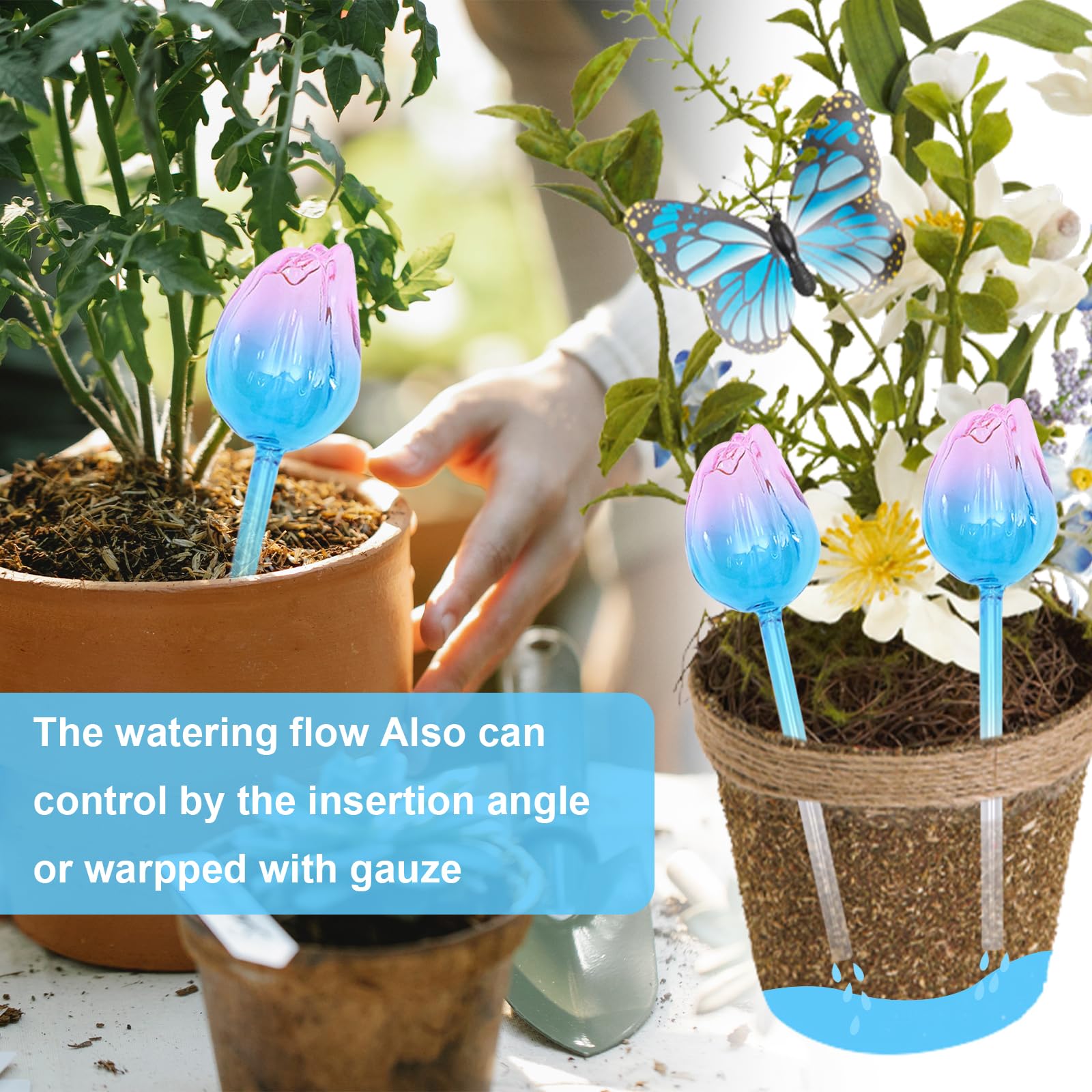 Glas Bewsserungskugeln, MKNZOME 6 Stck Automatische Pflanzen Bewsserung  Zimmerpflanzen Bewsserungssystem Urlaub Selbstbewsserung Wasserspender  Pflanzen Blumen Garten Balkon : Amazon.de: Garten