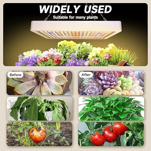 Miniatura 3 de Luces LED de crecimiento mejoradas de 2000 W con interruptor doble, luz de plantas de espectro completo de doble chip, luz de cultivo de plantas