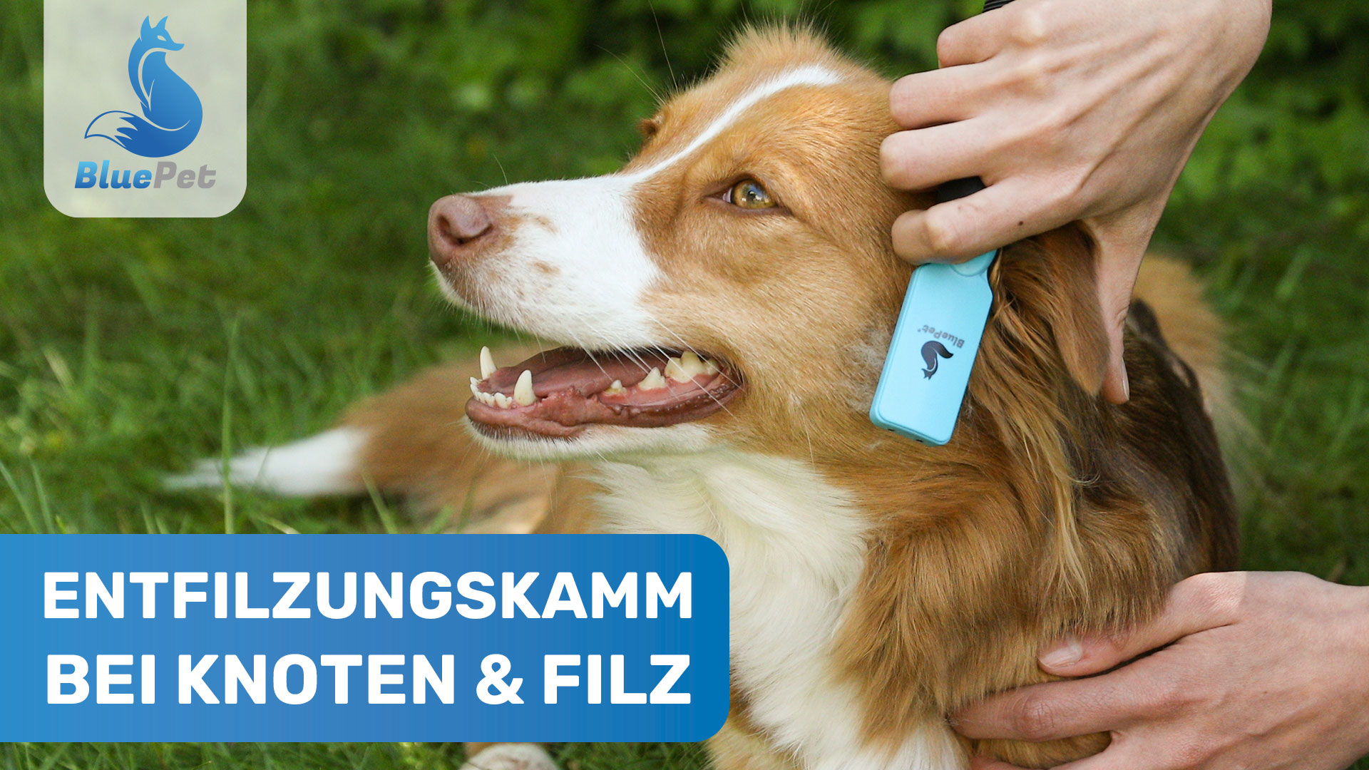 LeileiPaws Entfilzungskamm Für Hunde & Katzen - 17/9 Zähne Mit Bissfestem Griff
