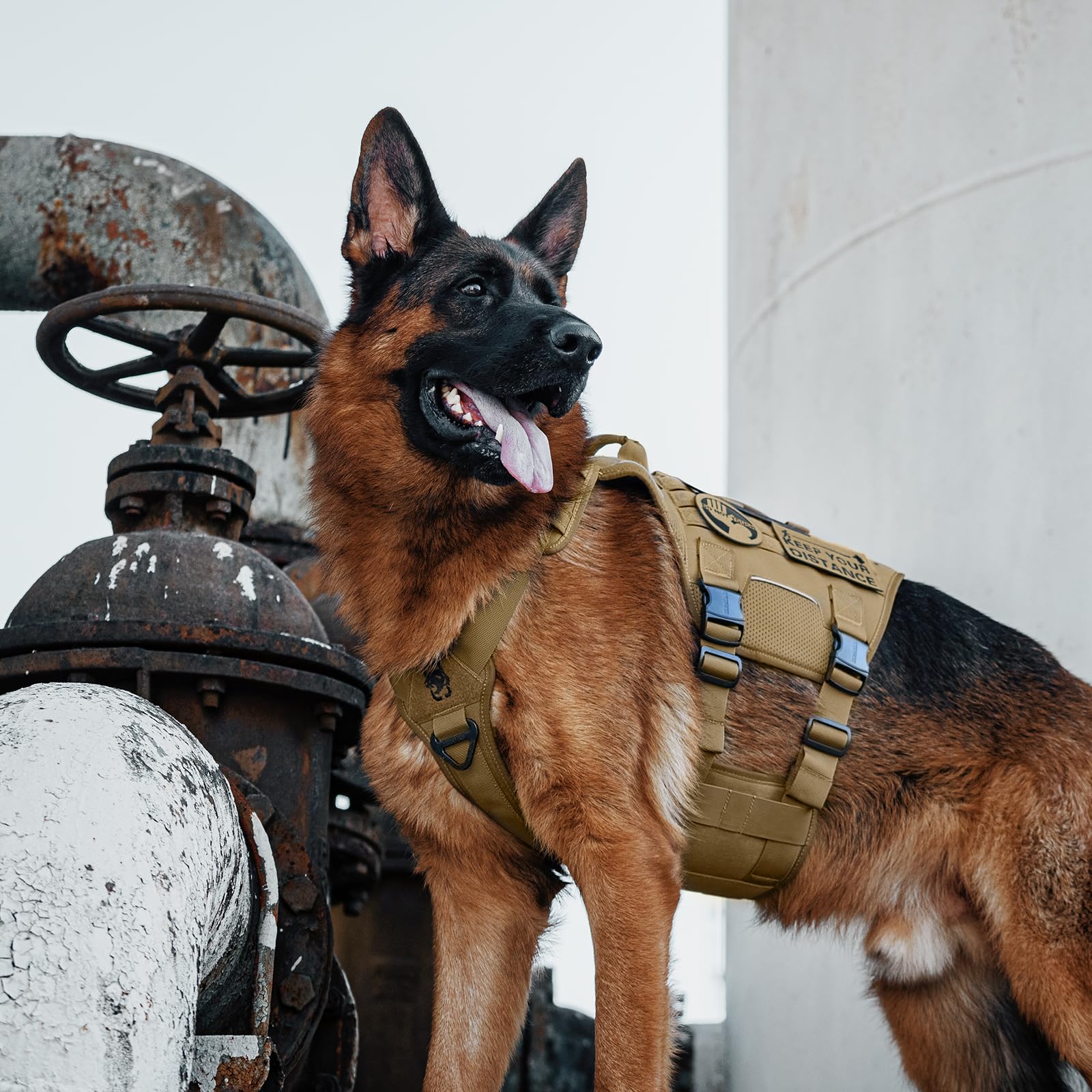 OneTigris Imbracatura tattica per cani, siluro con 4 fibbie in metallo, 3 anelli a D in metallo, 2 manici e strisce riflettenti No-Pull, imbracatura di sicurezza regolabile per cani di taglia
