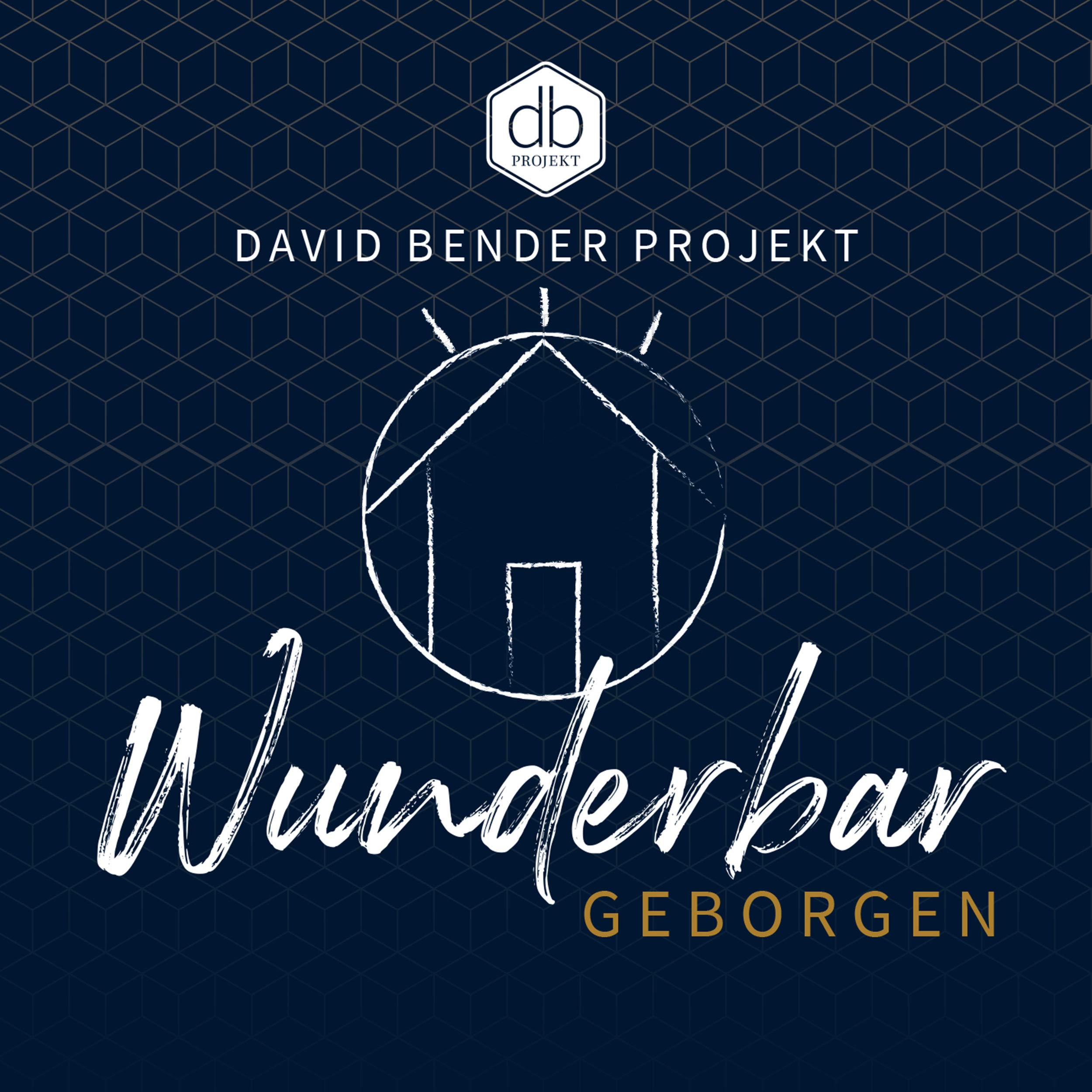 David Bender Projekt