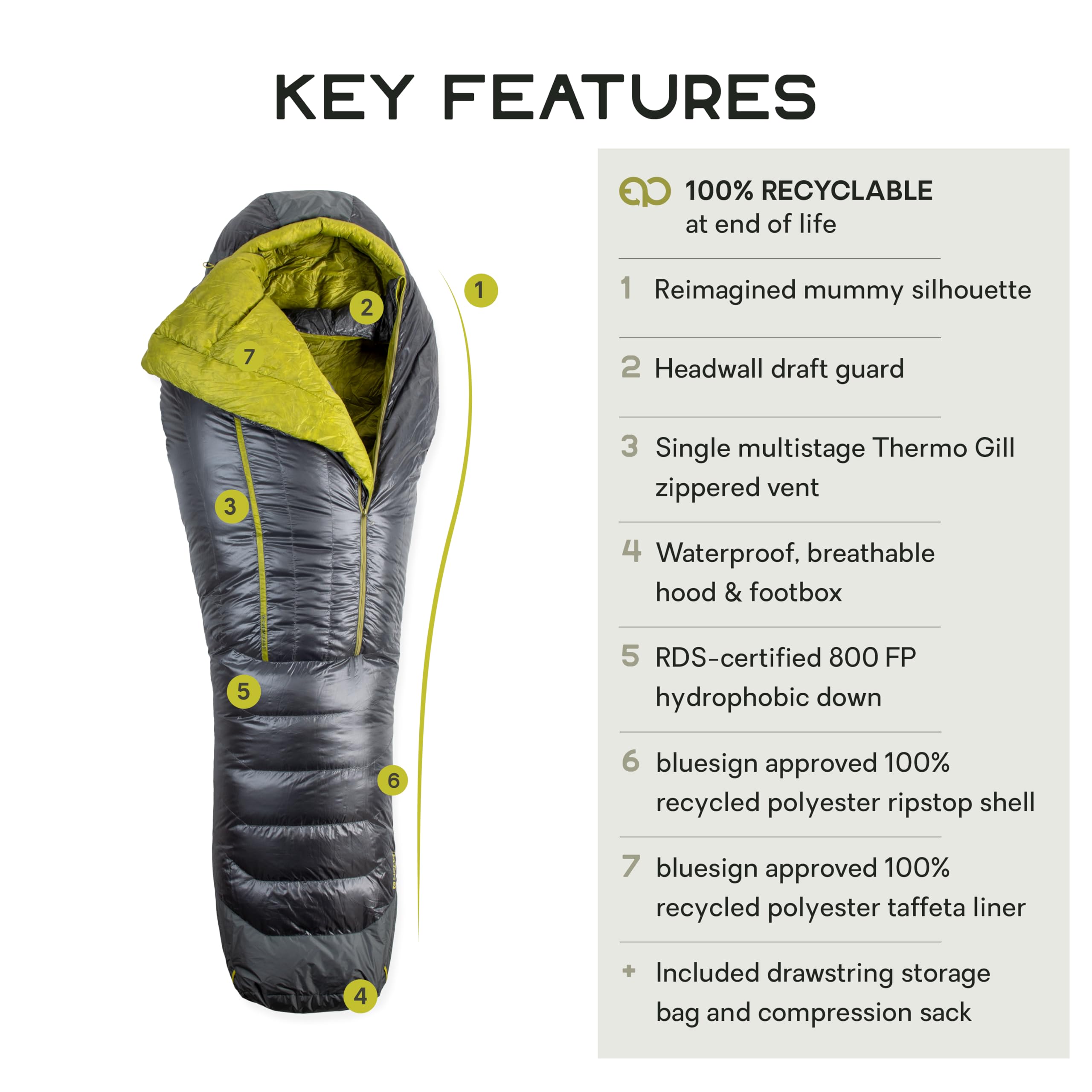 Amazon.co.jp: NEMO(ニーモ) コーダ Endless Promise 10/20 NM-CDEP