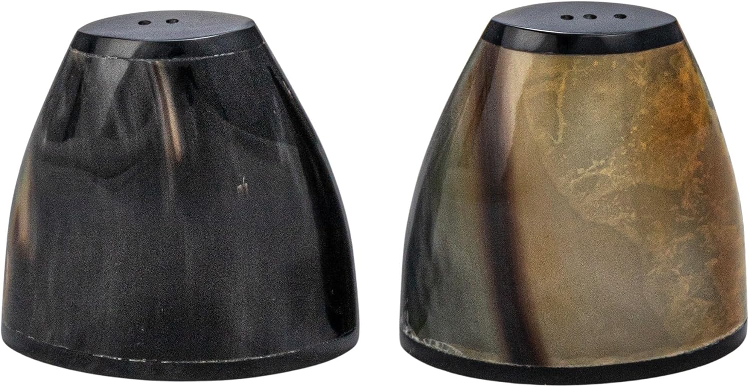 Creative Co-Op Horn Salt and Pepper Shakers, Black, Set of 2 (Pack of 2)