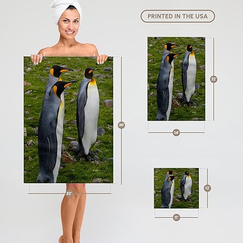 Miniatura 6 de Toalla de mano 3D Rose South Georgia-San Andrews. King Penguins, 15.0 x 22.0 in