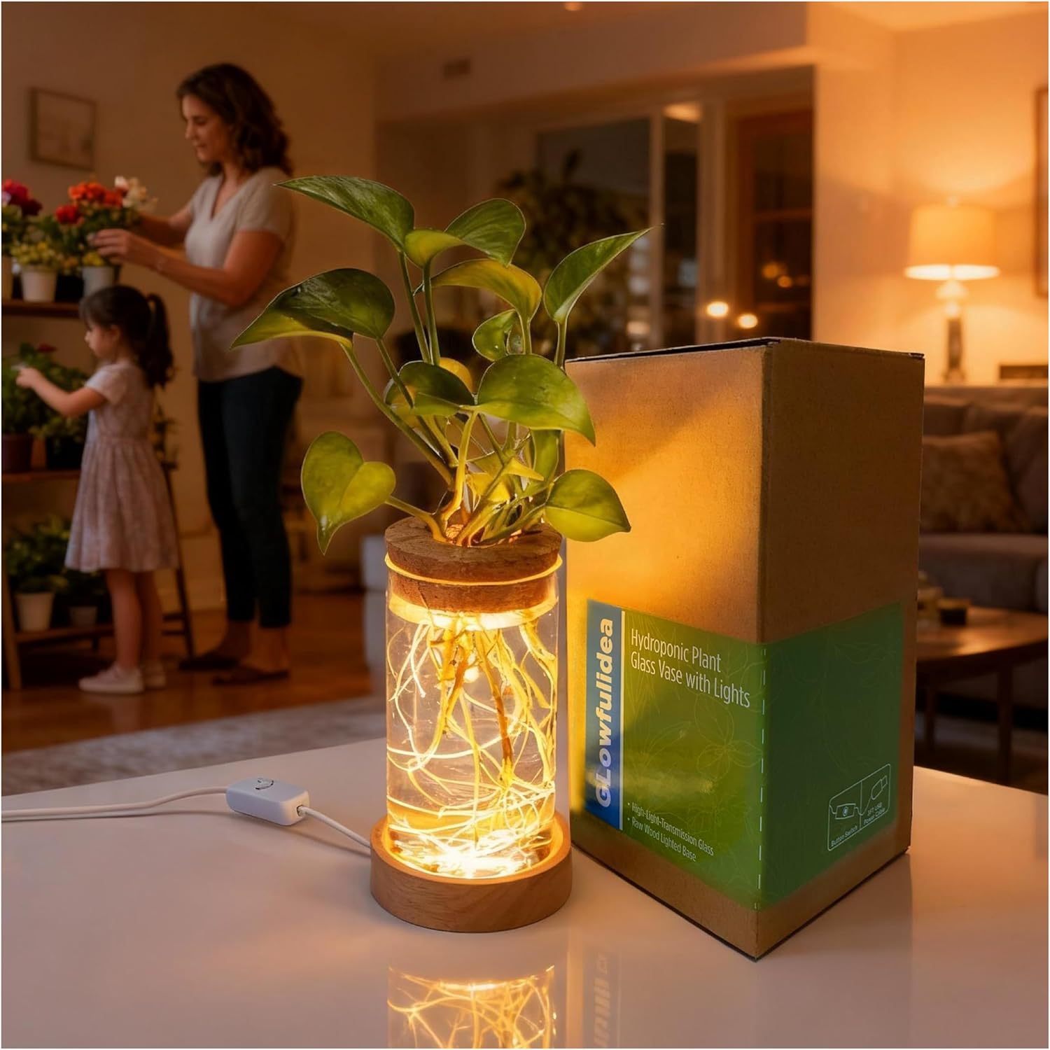 Glowfulidea Plant Propagation Station Review: Lighted Hydroponic Glass Terrarium for Indoor Gardeners