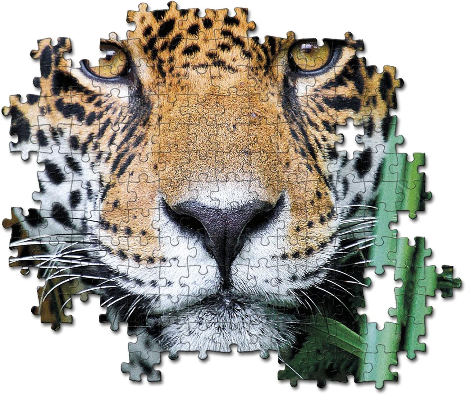 Clementoni - 35127 Collection Puzzle Jaguar in The Jungle - Jigsaw Puzzle 500 Pieces, Made in Italy, Jigsaw Puzzle for Adults