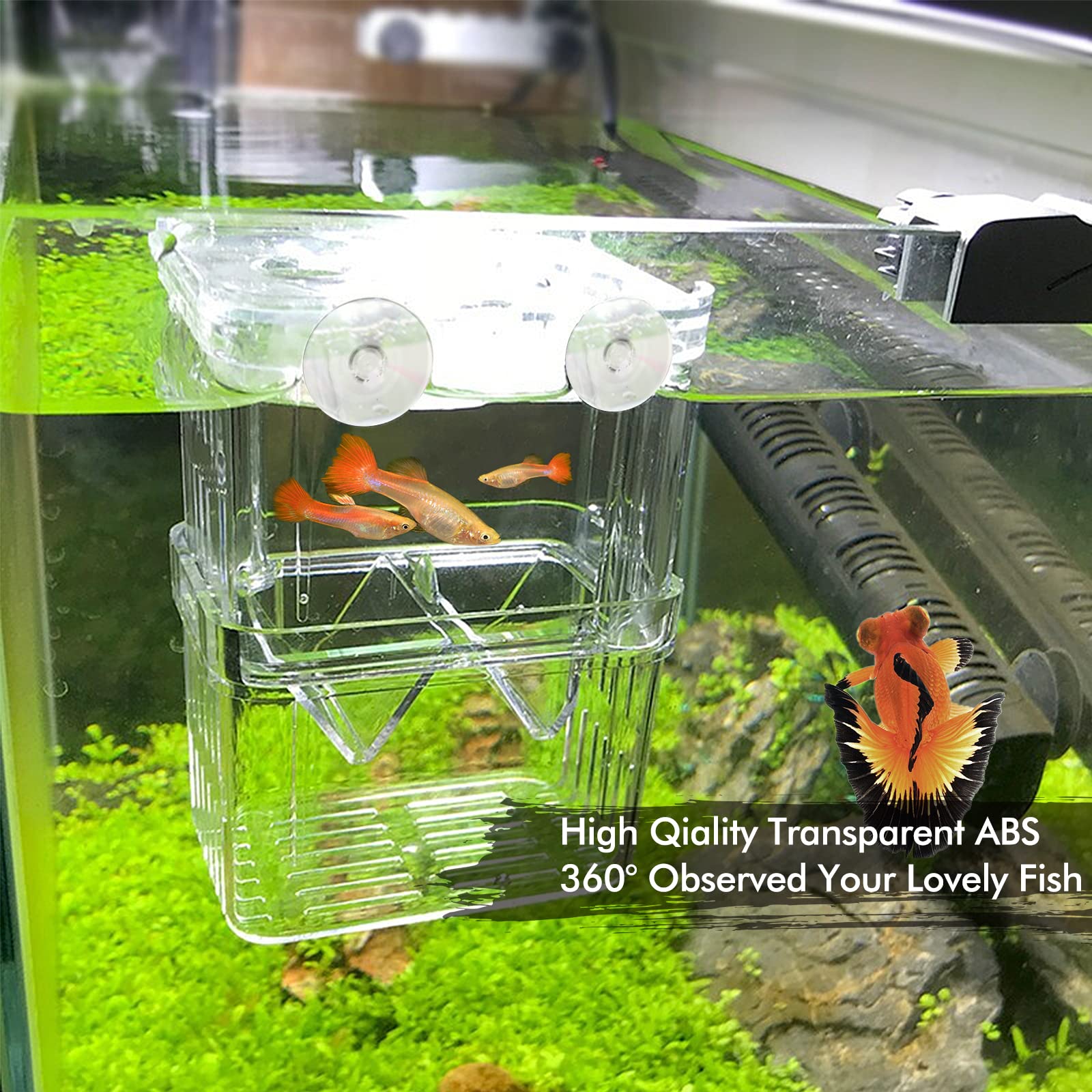 Caja de Cría de Peces de plástico Incubadora de Peces Caja,Caja de Aislamiento de Peces de Doble Capa con Ventosas para Peces Bebé