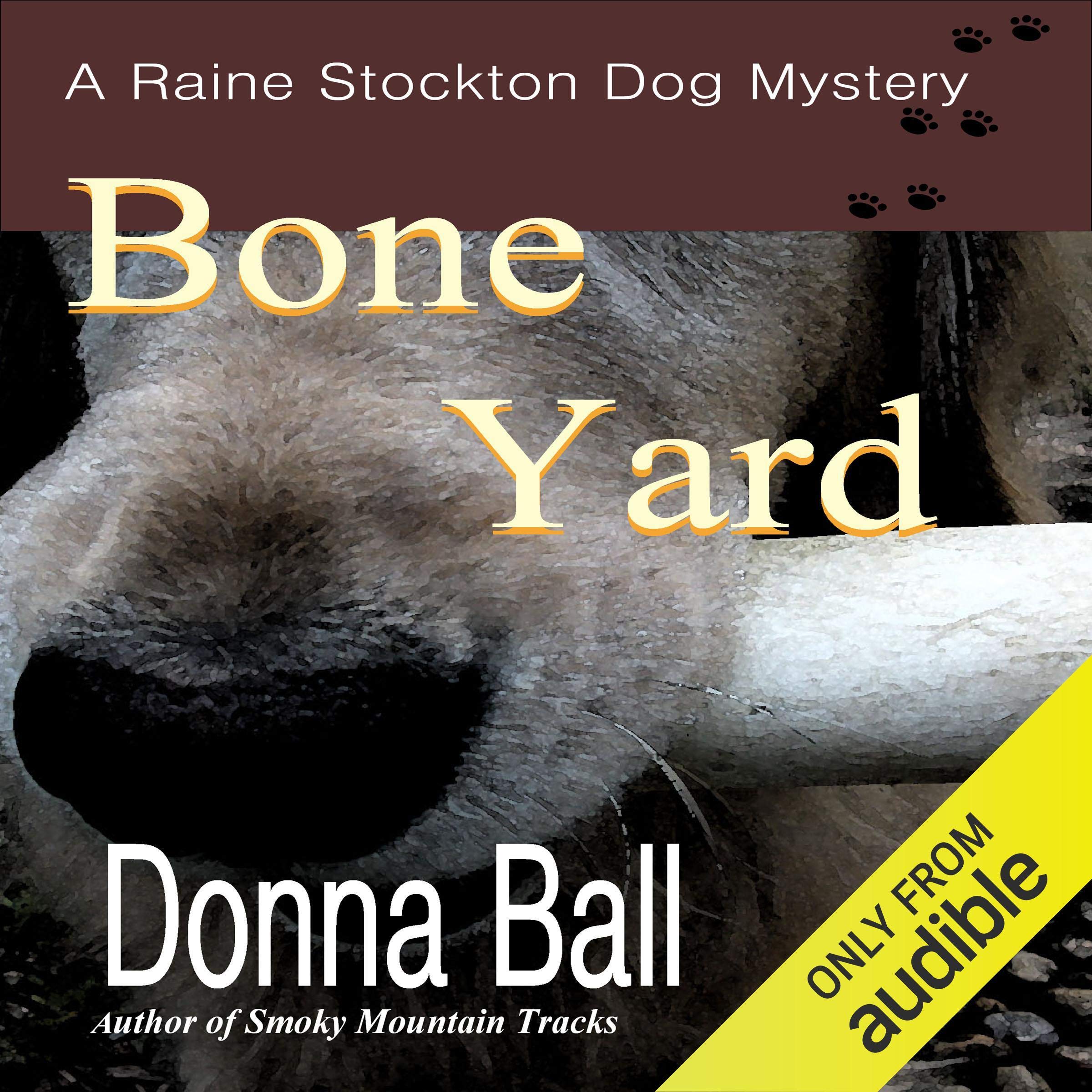 Cover art for Bone Yard