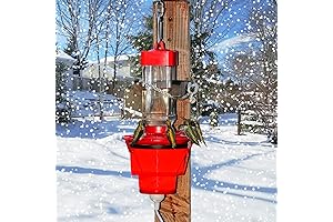 Winter Warm Hummingbird Feeder - The Year-Round Secret to Happy Hummingbirds