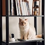 Kasa Smart 2K Security Camera for Baby monitor Pan Tilt, 4MP HD Indoor Camera with Motion Detection, Two-Way Audio, Night Vision, Cloud & SD Card Storage, Works with Alexa & Google Home (KC410S)