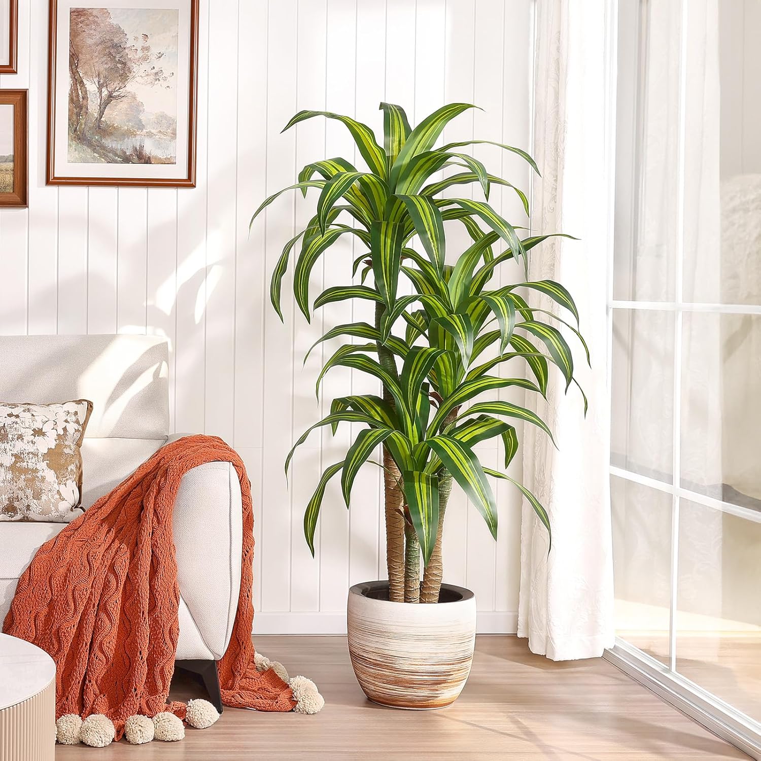 VeriNatural Artificial Dracaena Tree 5FT – Faux Yucca Floor Plant with Silk Leaves & Natural Trunk – Cement-Weighted Pot for Indoor Decor, Office, Living Room, Porch, Entryway, VN225