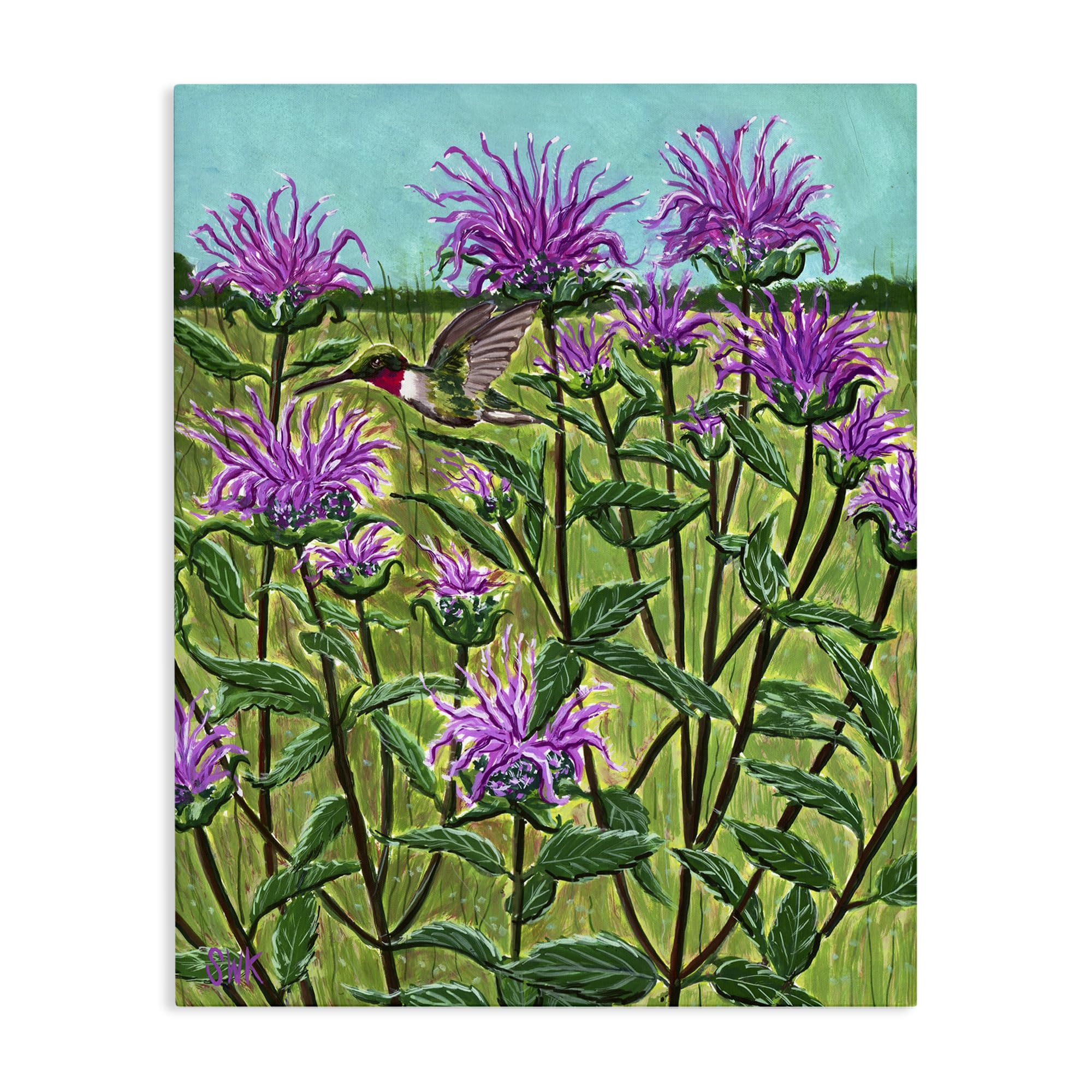 Stupell Industries Unframed 'Ruby Throated Hummingbird & Beebalm'| Canvas Art