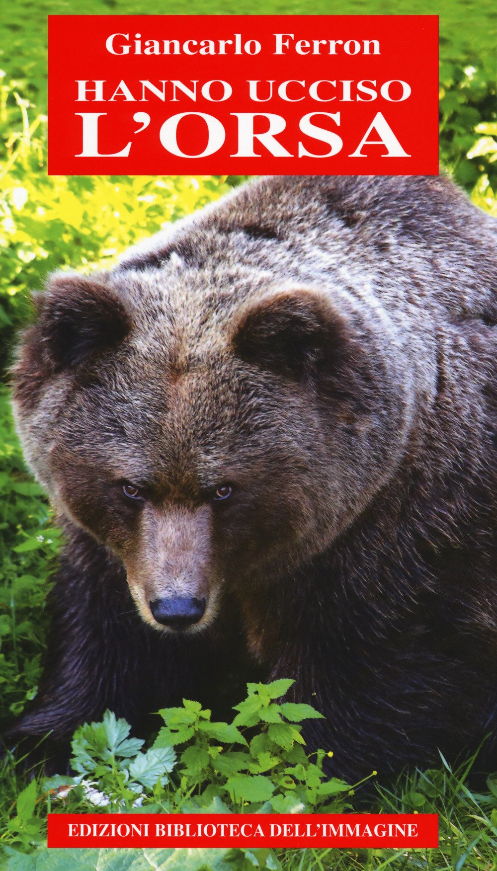Hanno Ucciso L'orsa - 4