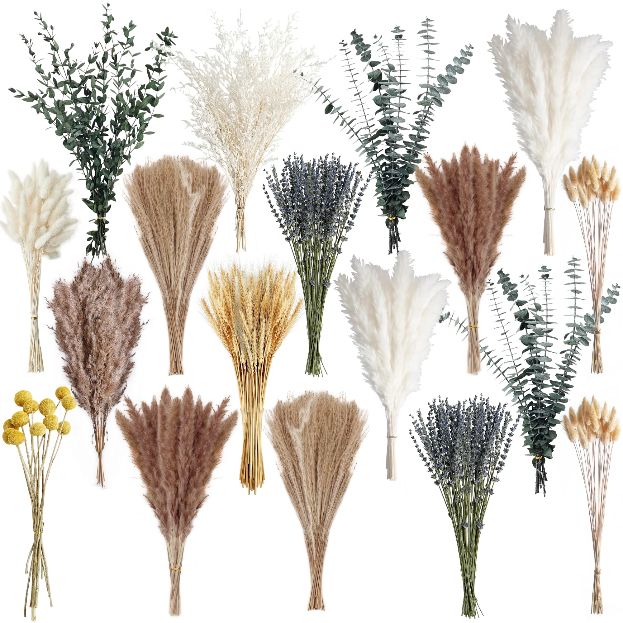 500 Stück getrockneter Pampasgrasstrauß – Boho-Trockenblumen für Vase, weiße und braune Pampas, Hasenschwänze, Weizen und Lavendel – natürliche Blumendekoration für Boho-Zuhause, Hochzeit, Babyparty