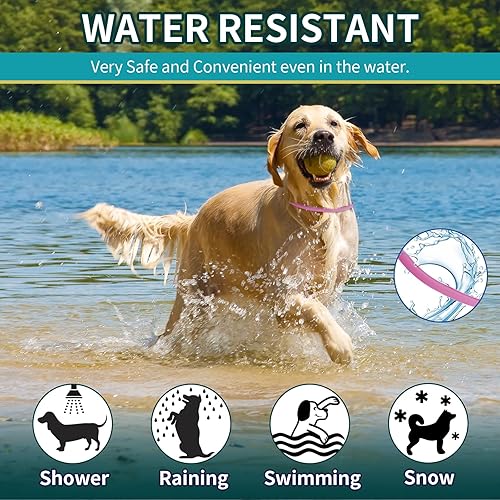 Miniatura 6 de Paquete de 4 collares antipulgas para perros, collar de pulgas y garrapatas de perro, 8 meses, prevención de tratamiento de pulgas y garrapatas para