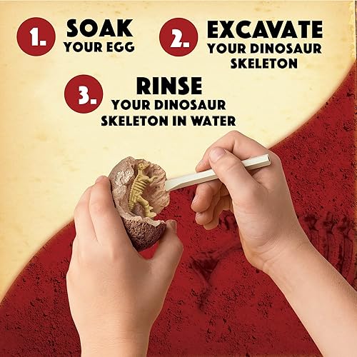 Miniatura 4 de MindWare Dig It Up!