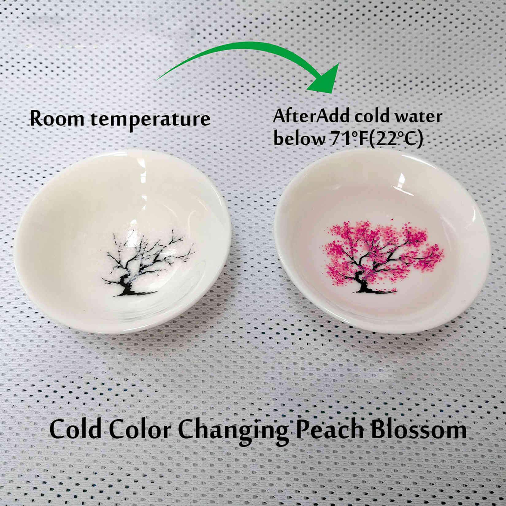 Amazon.com | Cold Hot Temperature Color Changing Sakura Sake Cup