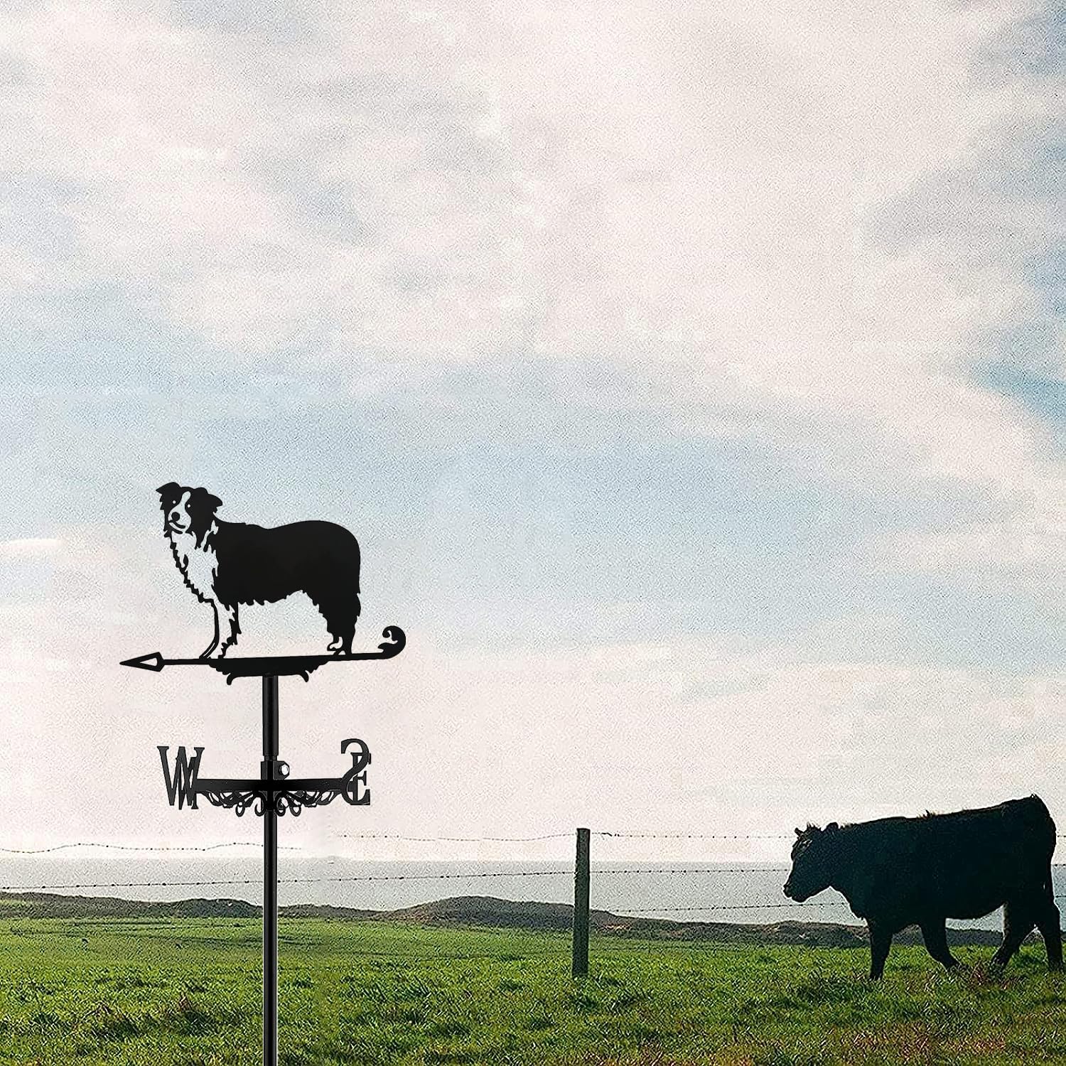 Metal Weather Vane Border Collie Weathervane 28 in Height Herding Dog Wind Vane Large Dimensiona Weathercock for Shed Garden Yard Patio Decor Shepherd Dog