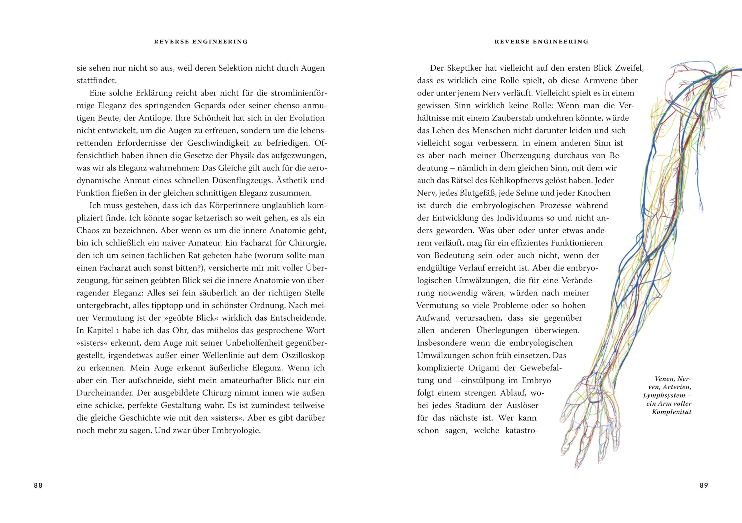 Das große Buch der Evolution: Eine neue Sicht auf die Entwicklung des Lebens