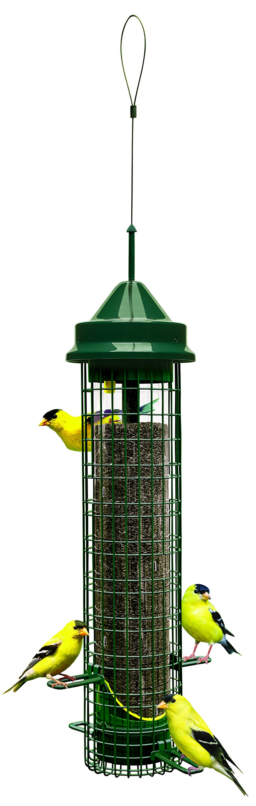Squirrel Buster Comedero para pájaros a Prueba de Ardillas con 4 Postes de Metal y 8 Aberturas de alimentación, Capacidad de Semillas de Cardo de 2.5 Libras