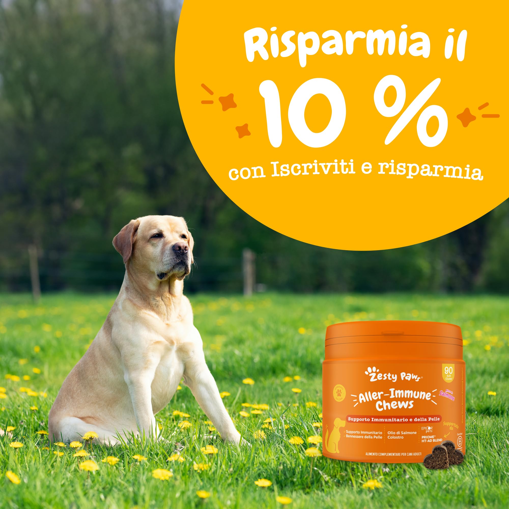Zesty Paws Allergy & Immunity per Cani – Supporto Immunitario, Salute dell' Intestino, Pelle e Pelo – Per fastidi della Pelle – Con Olio di Salmone e Probiotici per Cani – 90 Bocconcini