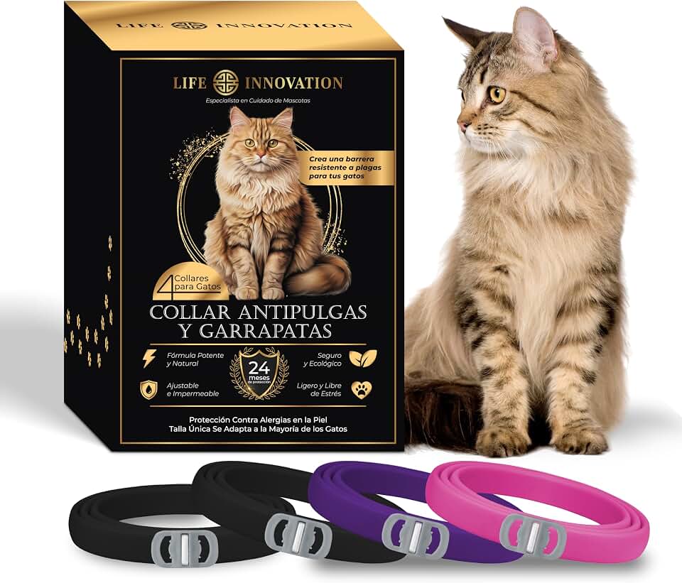Pack 4 collares antipulgas para gatos, 24 meses, impermeable, natural