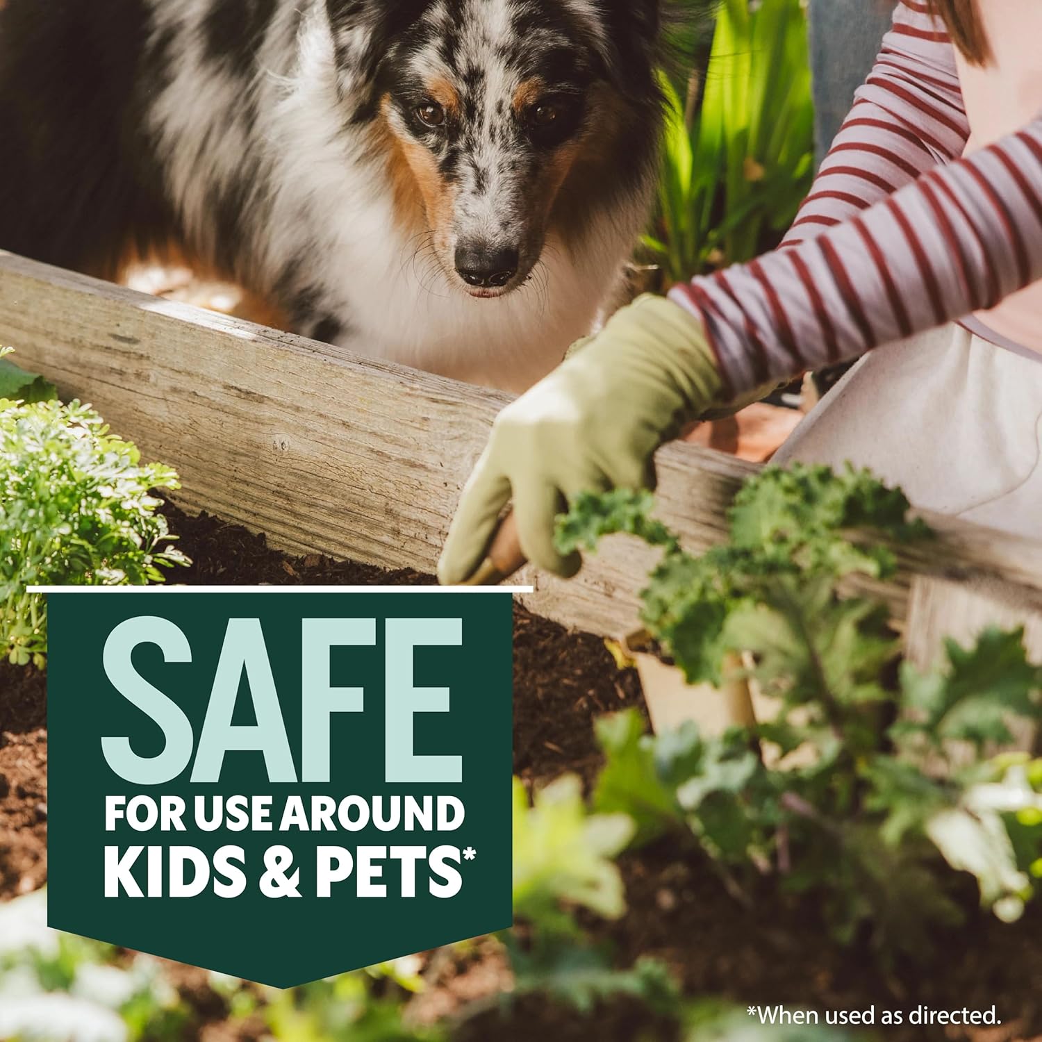 Ortho GroundClear Simple Weed and Grass Killer - Kills All Types of Weeds and Grasses, for Gardens Patios and More - 1.5 L (2-Pack)