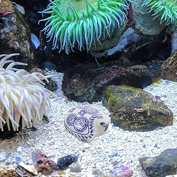 アート鉢 by カメ子カメ男 ライトグレー アート鉢 by カメ子カメ男 ライトグレー カメ子カメ男 | 天王洲