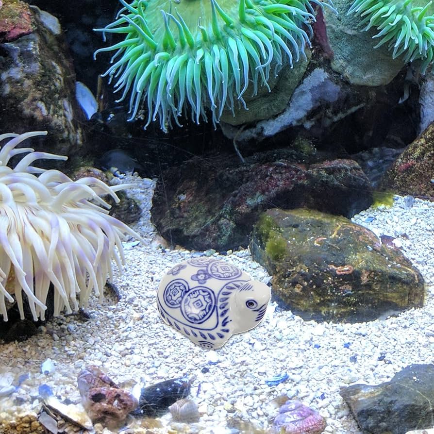 Amazon.co.jp: HOMSFOU ウミガメ フローティング 陶器 亀 置物