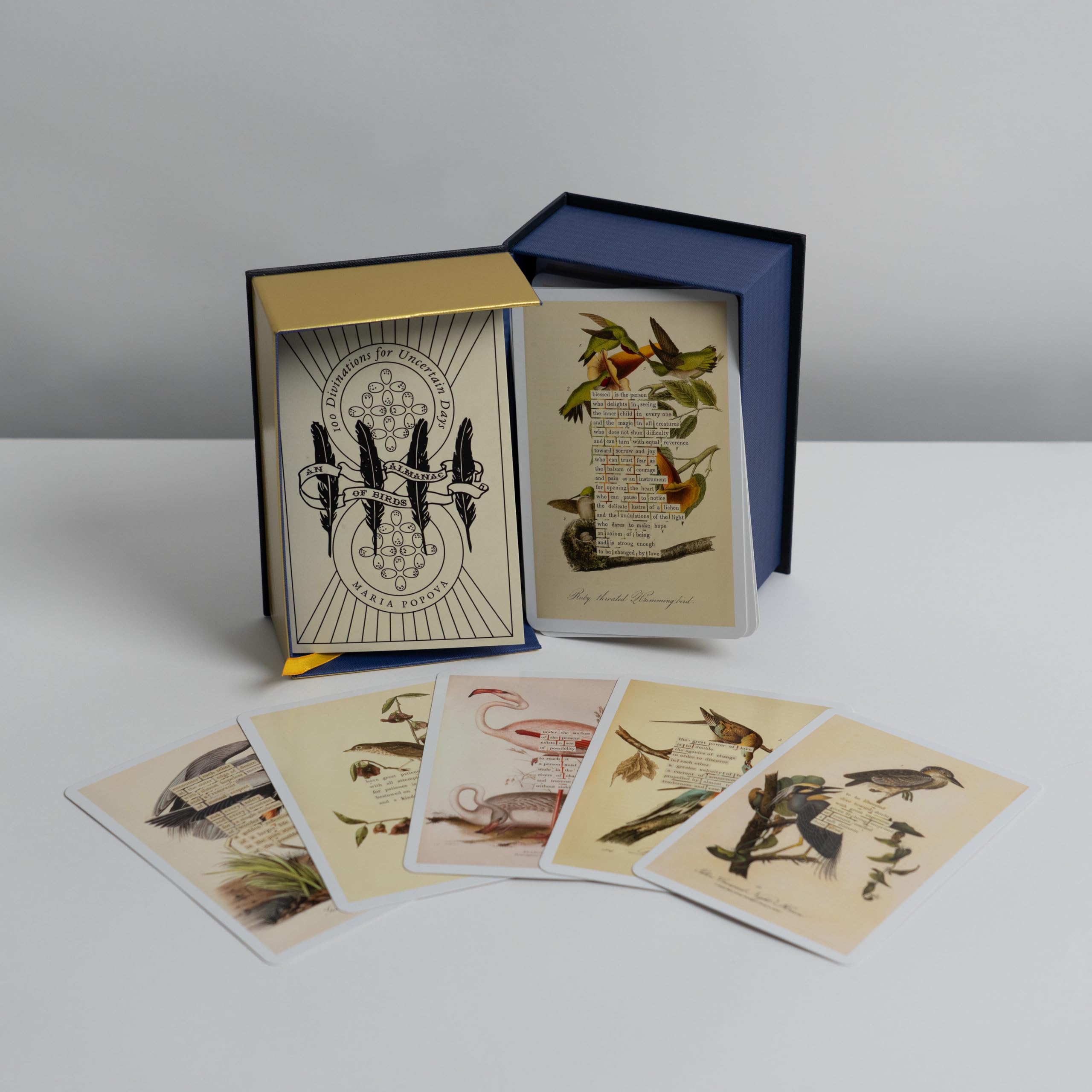 An Almanac of Birds: 100 Divinations for Uncertain Days