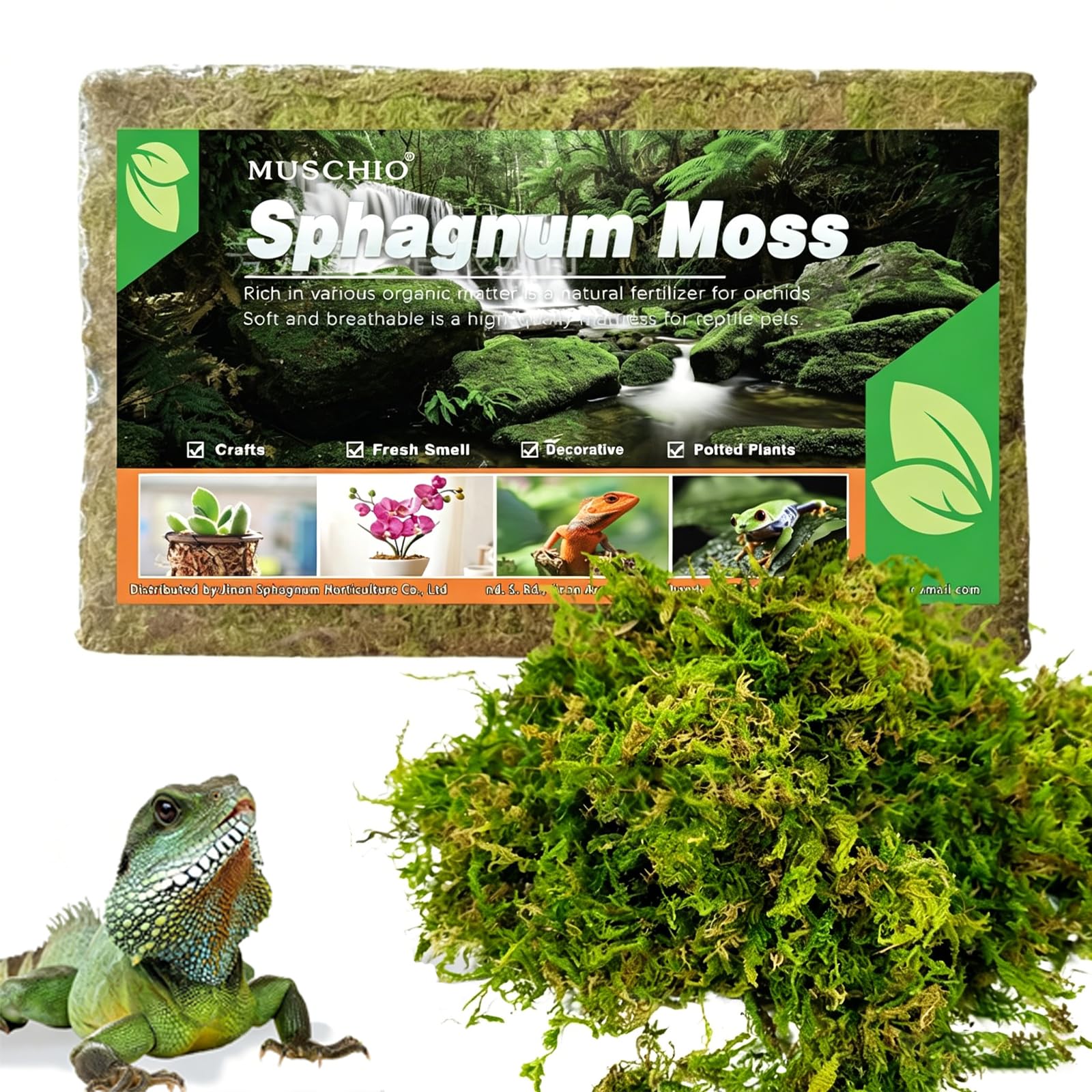150g Sphagnum Moss, Orchids and Carnivorous Plants Natural Dried Forest Moss for Reptile Bedding Terrarium Decor and Maintain Humidity for Snakes and Turtles