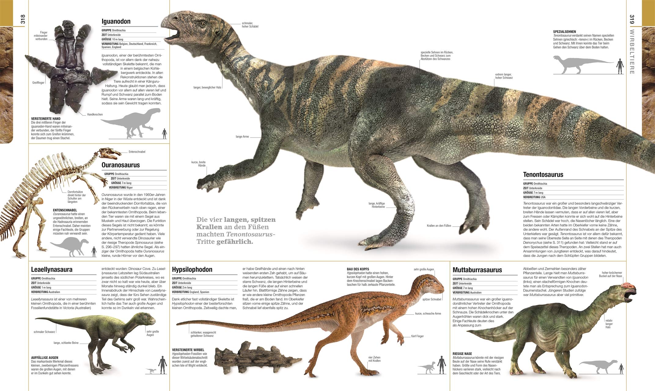 Dinosaurier und andere Lebewesen der Urzeit: Die große Bild-Enzyklopädie mit über 2200 Farbfotografien und 3D-Grafiken