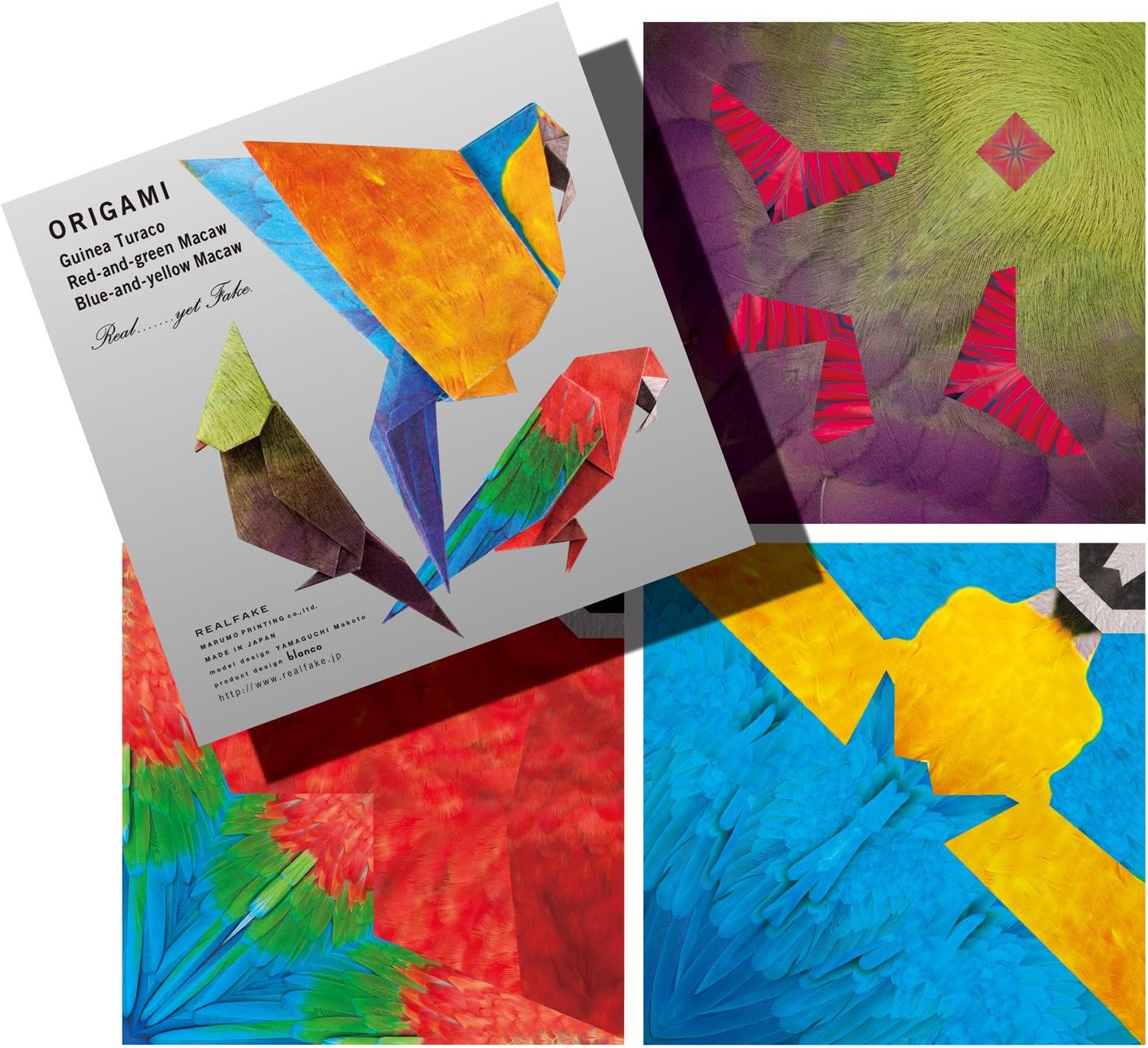 Marumo Print Real Fake Origami Tropical Series Parakeet OR-F