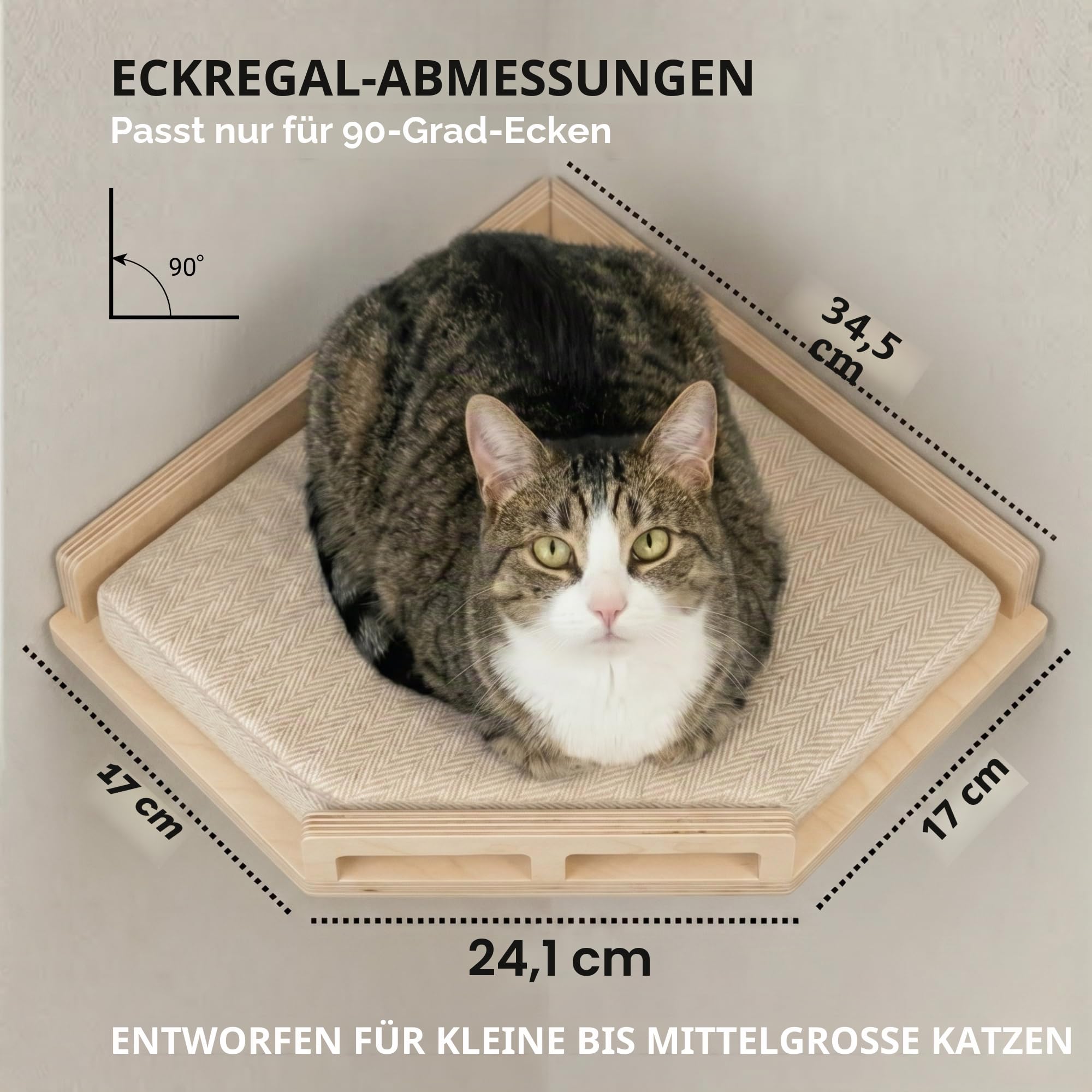INICIO Katzen-Wandregal, sichere und stabile Katzenwandmöbel, stilvolles Eckregal aus Birkenholz, 3 Stufen für Katzen bis 8 kg, gepolsterte Sitzstange und Treppen zum Klettern und Spielen