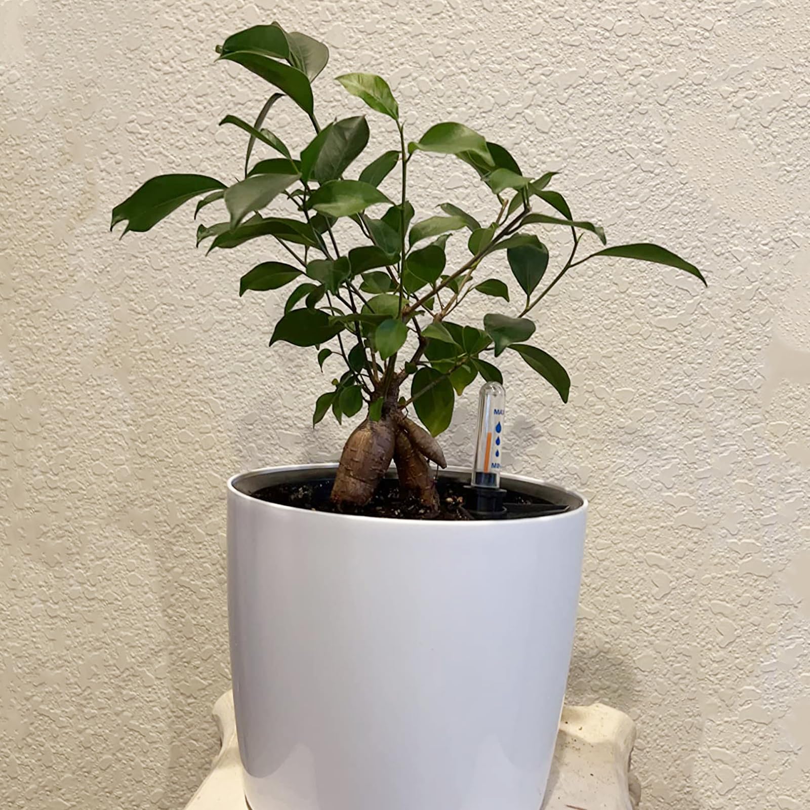 KINJOEK Confezione da 5 vasi autoirriganti da 17,8 cm con indicatore del livello dell'acqua, vaso da fiori bianco decorativo da giardino, fiori, violette africane, piante grasse, bianco