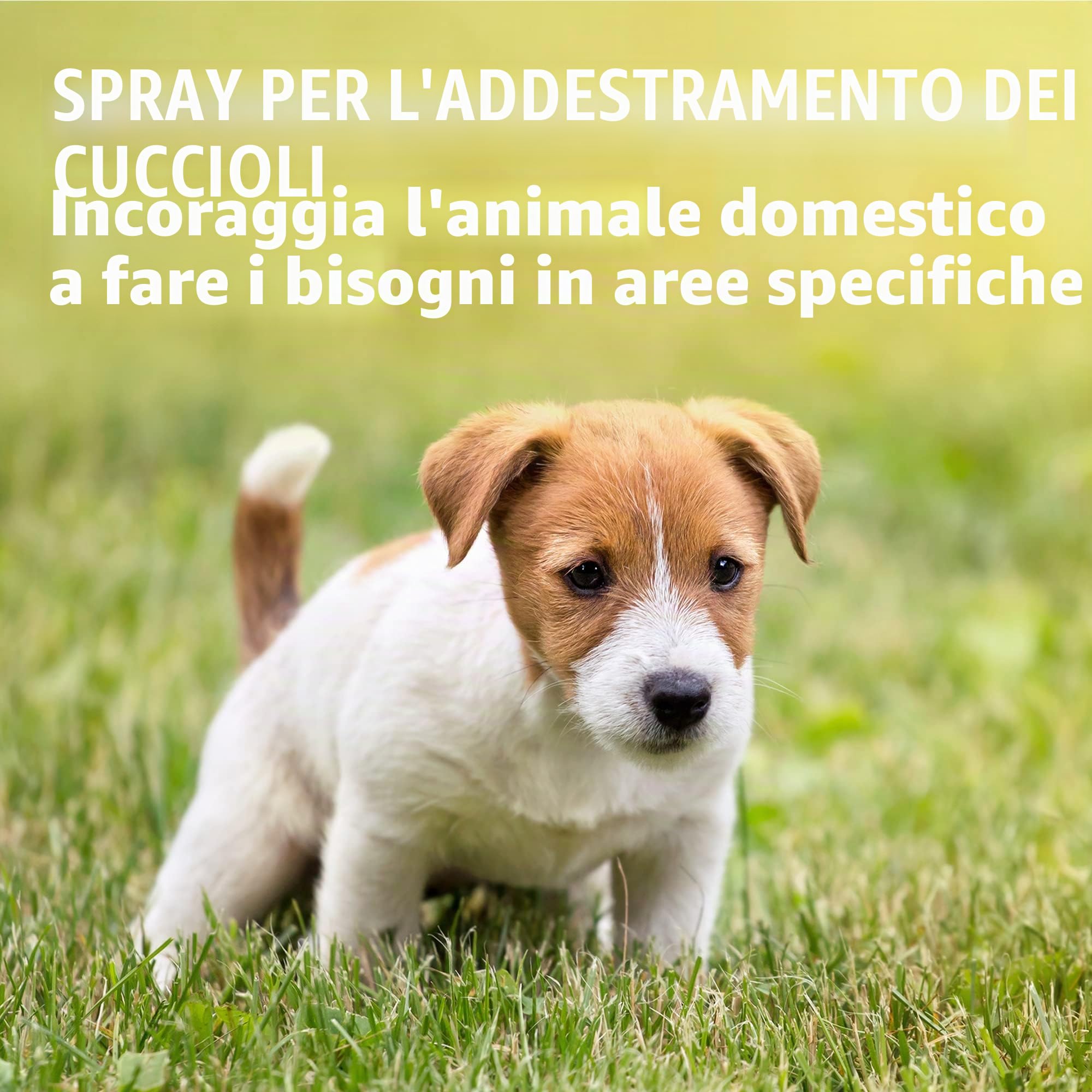 Simple Solution per Cani, Spray Addestramento Cucciolo taglia piccola- 500 ml
