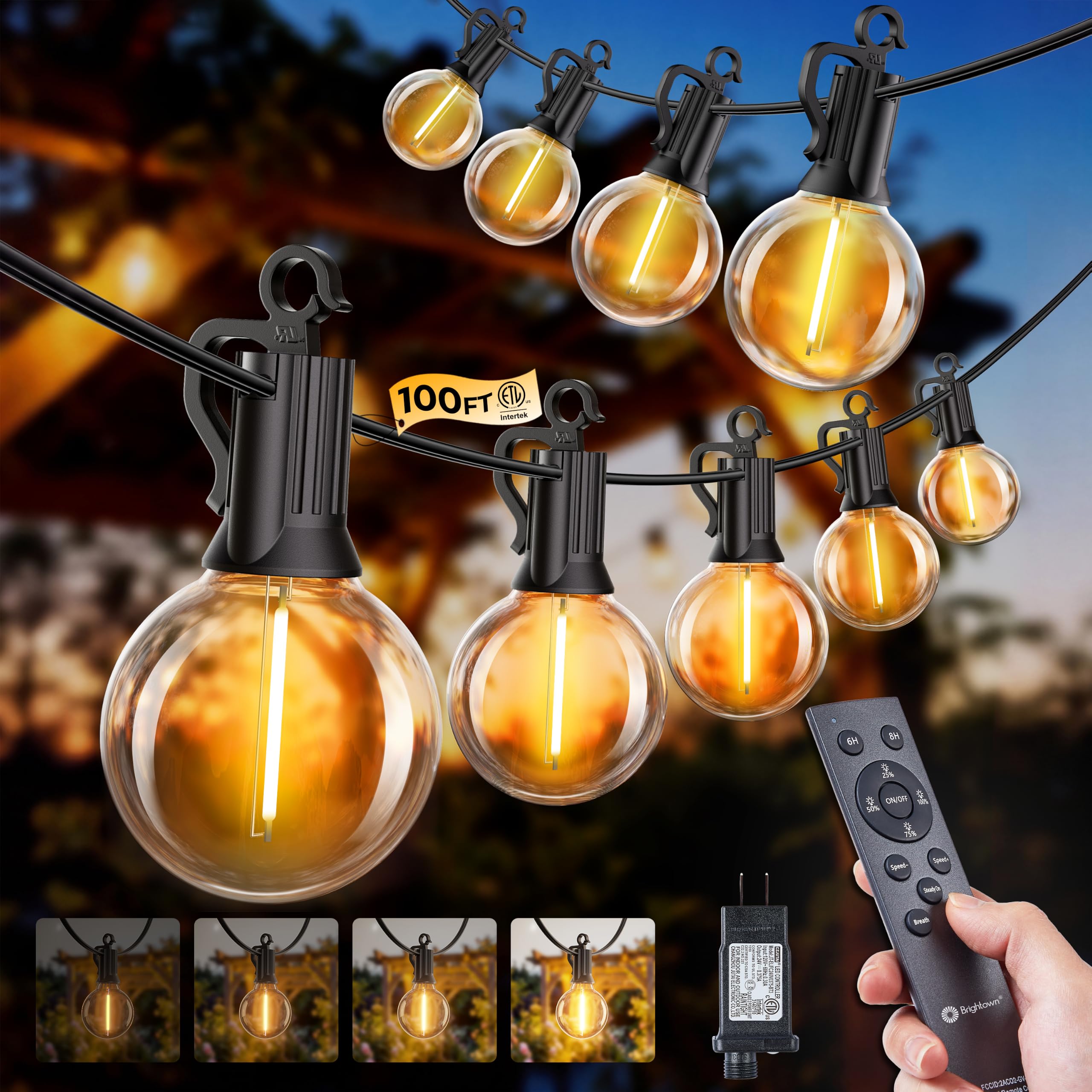SmartDawn 100FT String Lights with Remote