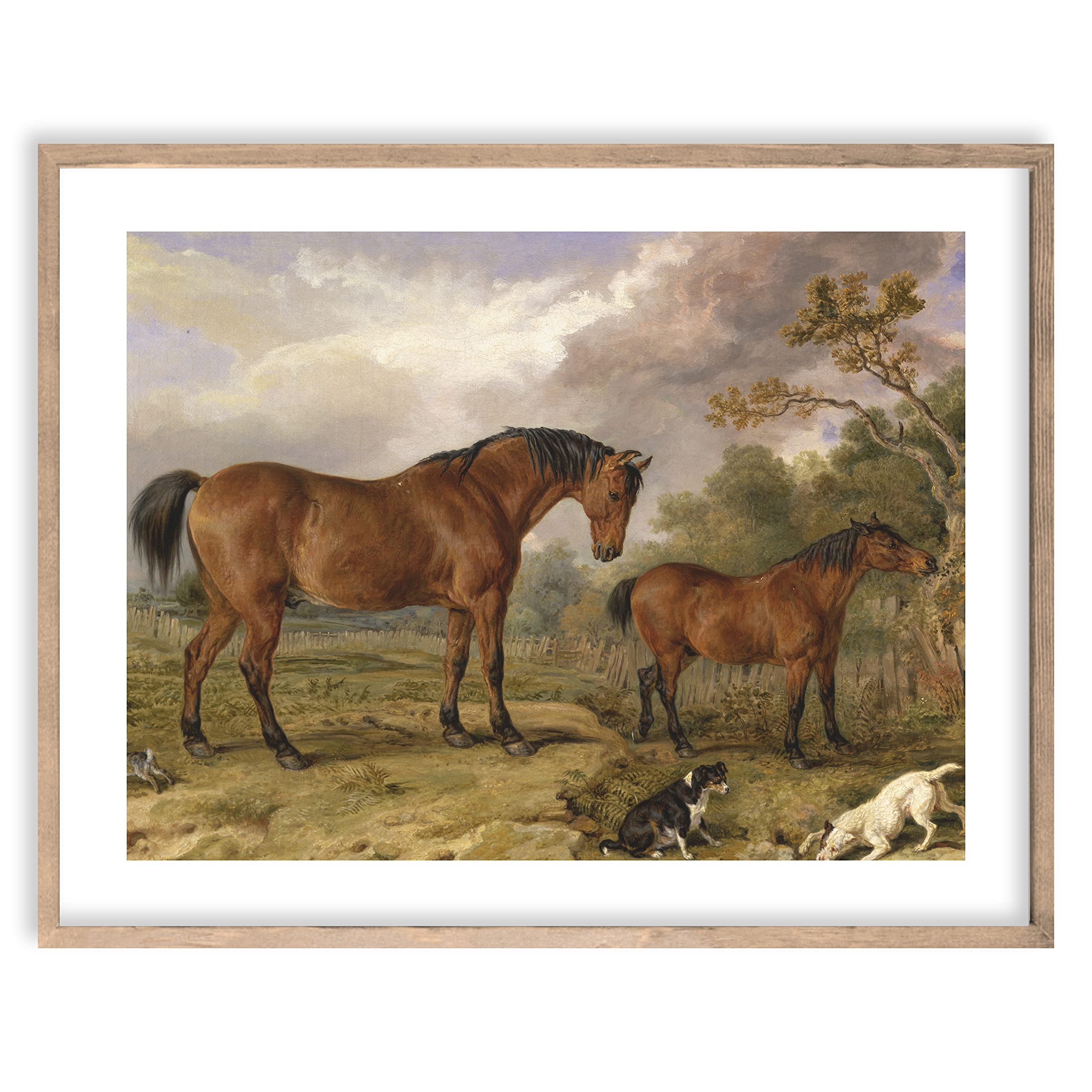 Amazon.com: Equestrian Wall Decor - Premium Giclee Vintage Horse