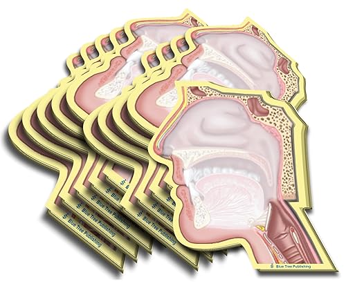 Notas adhesivas de cabeza, 10 paquetes-100 hojas por paquete.