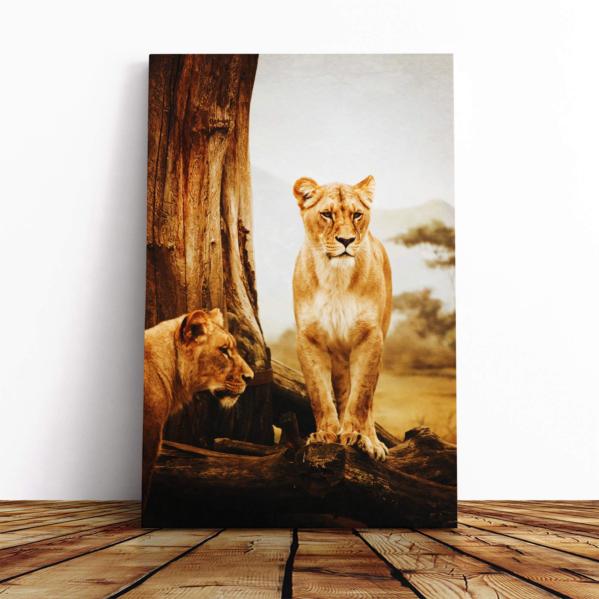 Lion Lioness (2) Canvas Print | Gallery Wrapped 30mm Frame Wall Art | 30x20 inches | Ready to Hang | Modern Animals Picture | Living Room Bedroom Lounge Office