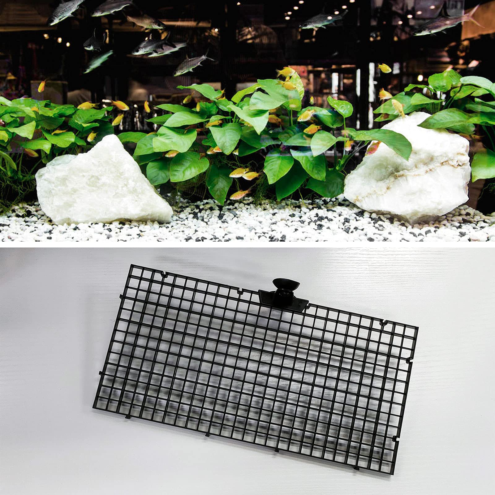 10 Stück Aquarium Teiler Isolation Tafel Trennwand Separator Schwarz Mischzucht Fische Kampf Fernhalten