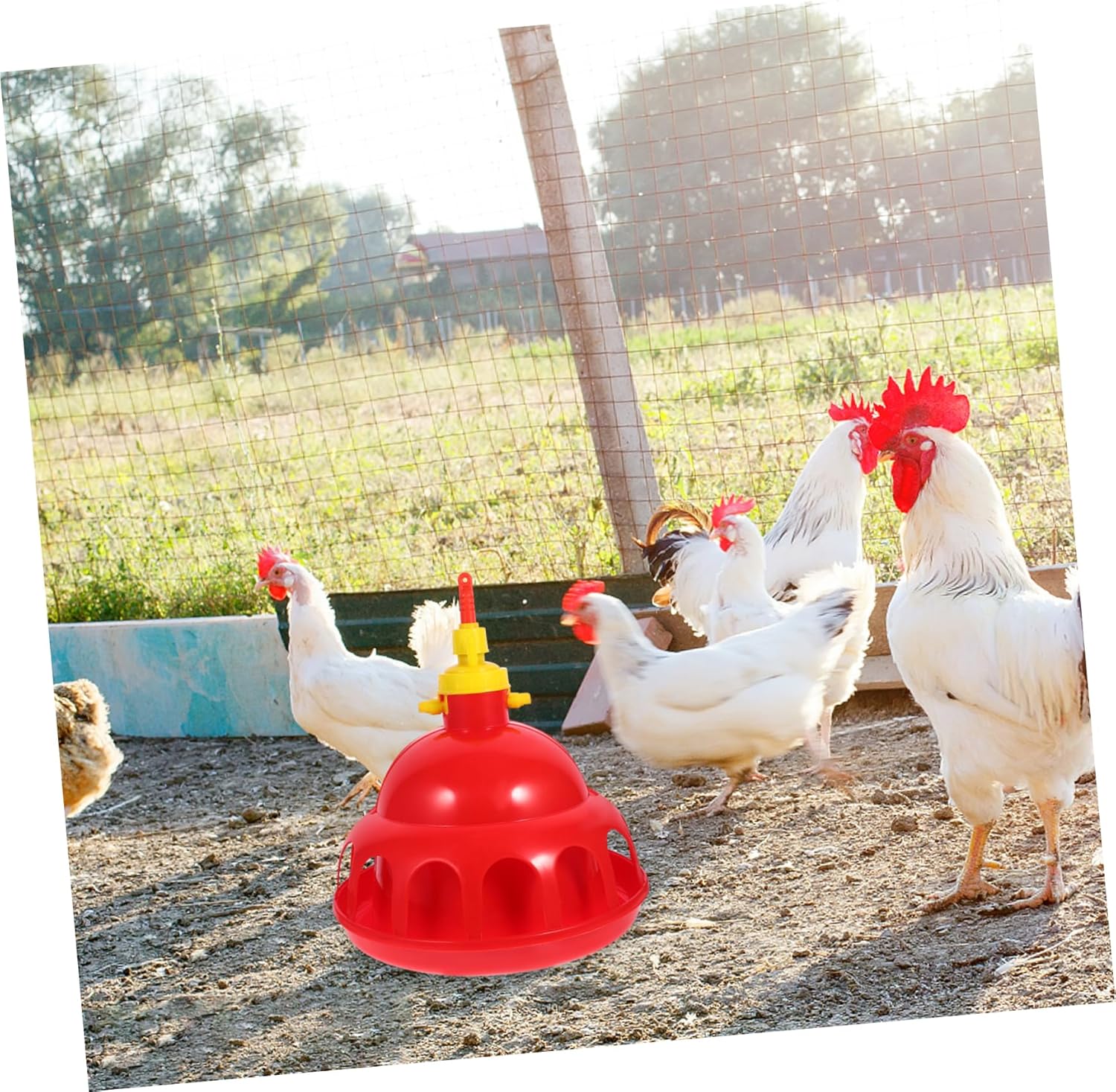 1Pc Thickened Poultry Water Drinker Automatic Dispenser for Chickens Ducks and Quails Convenient Red Water Feeding for Home and Farm Use