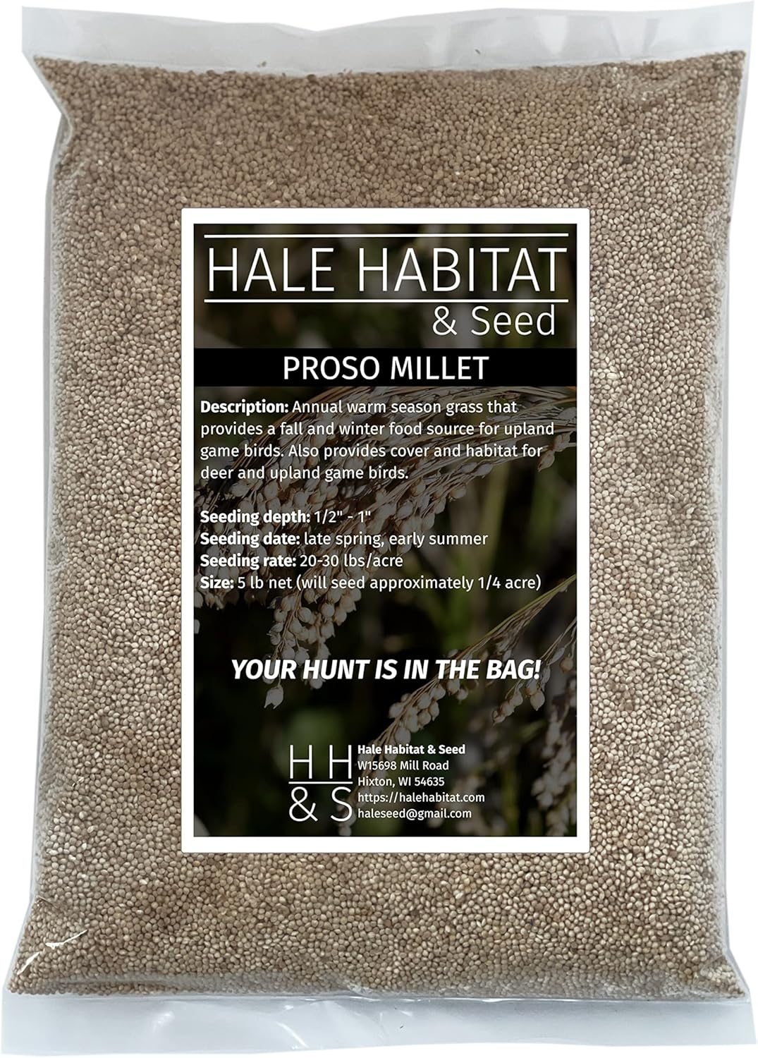 Proso Millet by Hale Habitat & Seed