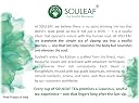 SOULEAF – Darjeeling White Peony (Bai Mudan) & Oolong Tea with Rose Petals and Lavender Buds | Whole Loose Leaf containing Silver Buds -FTGFOP1 | Anti-ageing, Detox, Stress Relief, Relaxation, Weight Loss, Antioxidant-Rich Herbal Tea (25 Gram) gallery image