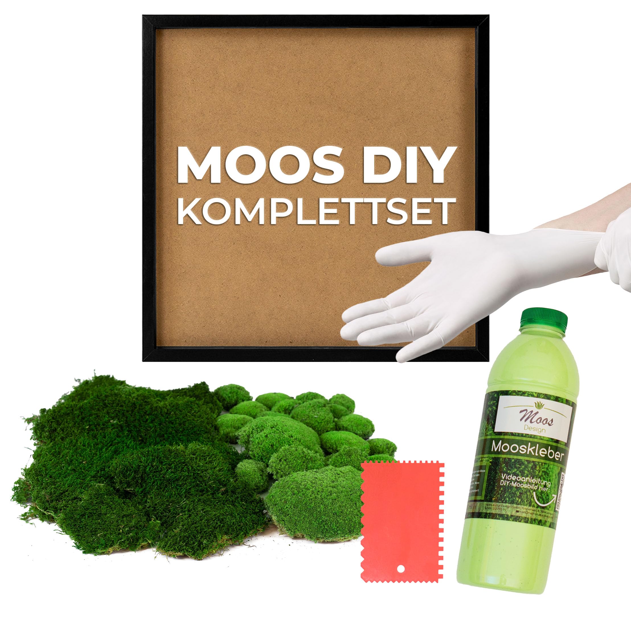 Moosbild DIY versch. Größen (Fifty Fifty Design, Holzrahmen: schwarz, 55 x 55 cm)