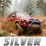 Open World Labs Games