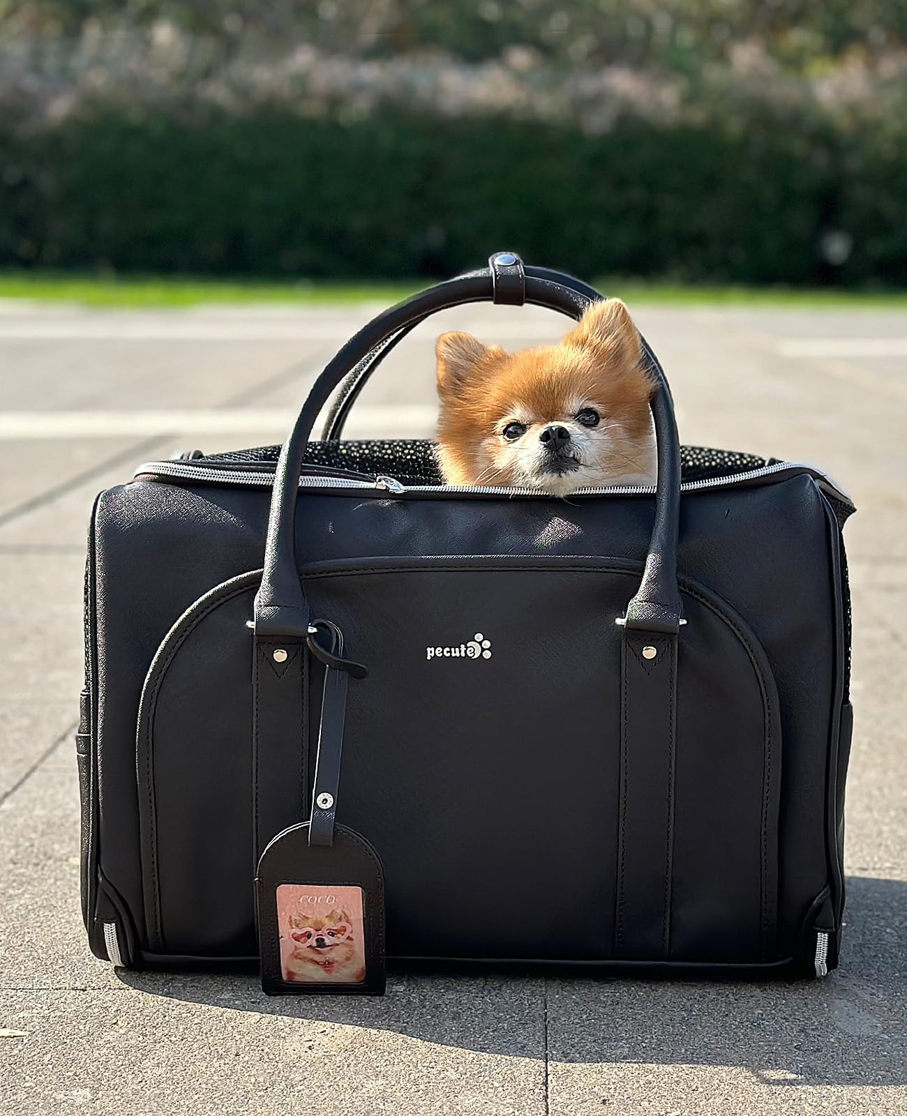 Pecute Transportin Gato de Moda, imitación de Cuero Artificial de Tela transportin Perro, Cremallera de Bloqueo, para Viajar, Utilizar el Transporte público o acudir a Citas médicas, Azul Marino