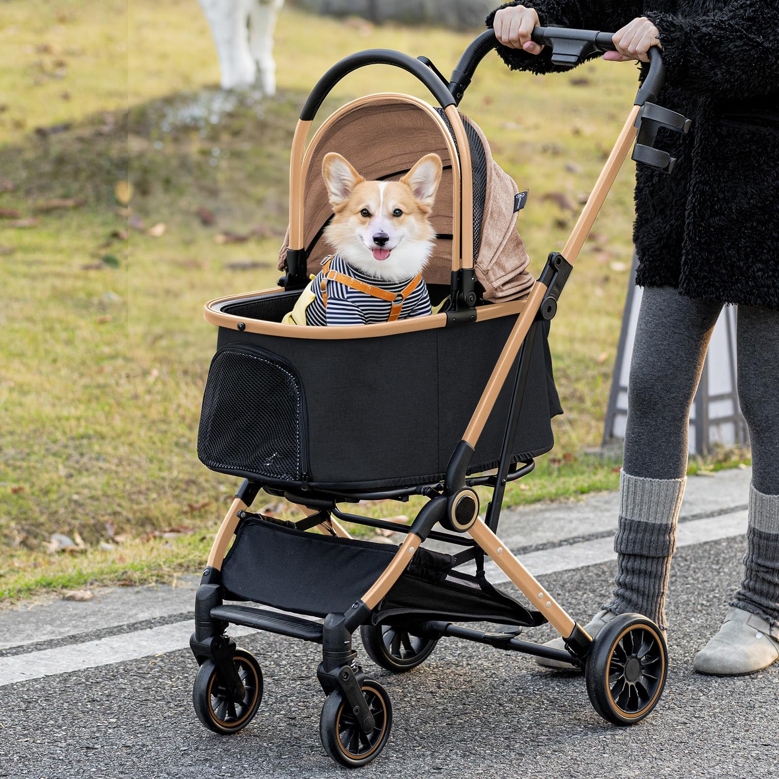 GTPLAYER Poussette Chien 4-en-1, Poussette pour Chien Chat, Jusqu'à 25KG, Voyage Transporteur Amovible, Poussette Tout-terrain Pour Animaux de Compagnie, Or
