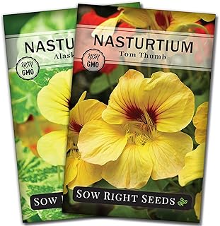 Sow Right Seeds - Nasturtium Seed Collection for Planting - Large Individual Packets of Nasturtium Alaska and Tom Thumb Mi...